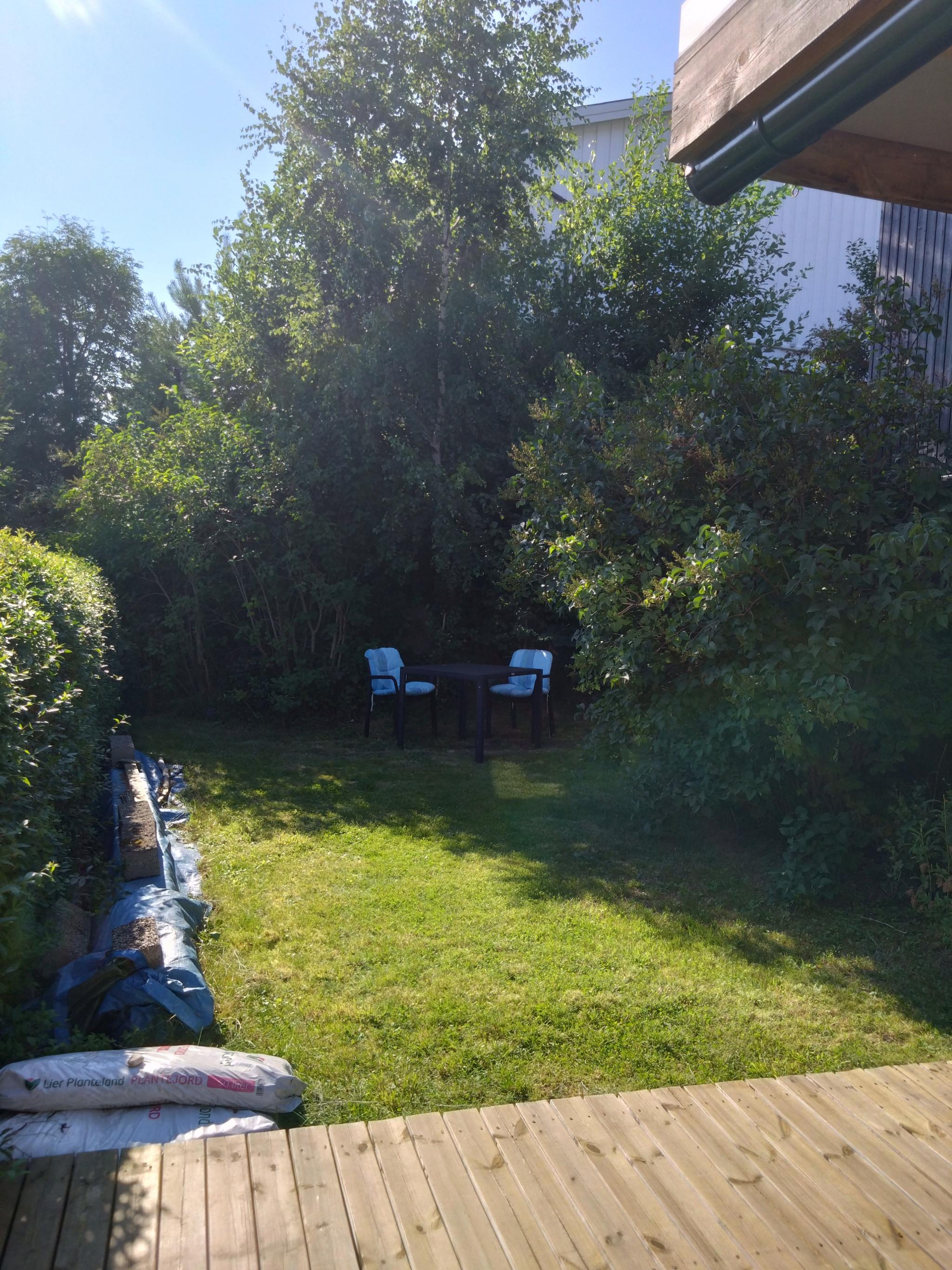 Hageområdet rett utenfor hybelen